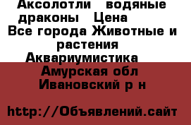 Аксолотли / водяные драконы › Цена ­ 500 - Все города Животные и растения » Аквариумистика   . Амурская обл.,Ивановский р-н